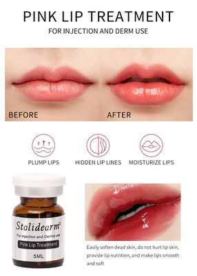 Soluzione di mesoterapia Exosome France Original Stalidearm Pink Lip Treatment Siero iniettabile Set