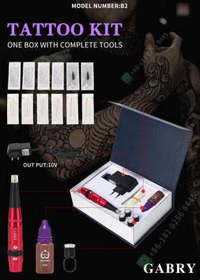 Aghi permanenti di Kit Rotary With Thunderlord Cartridge della macchina di trucco del sopracciglio