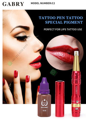 Macchina Kit For Body Permanent Makeup del tatuaggio della batteria ricaricabile