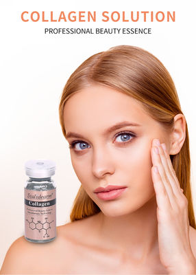 OEM/OBM Stalidearm Skin Care Essence Collagen Anti-Rugine Idratante viso siero private label