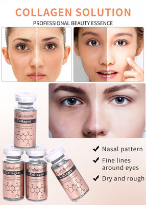 OEM/OBM Stalidearm Skin Care Essence Collagen Anti-Rugine Idratante viso siero private label