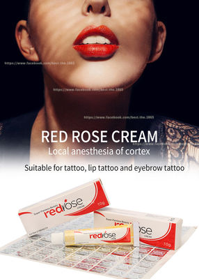 La crema intorpidente di Rose Numb Anesthetic Cream 10g della lidocaina permanente rossa di trucco fa domanda per 20 minuti intorpiditi per 5-6 ore